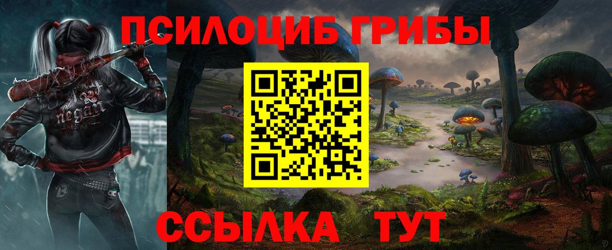 закладки  Вход с VPN  Псилоцибиновые грибы Magic Shrooms  Саянск  Псилоцибиновые грибы GOLDEN TEACHER 