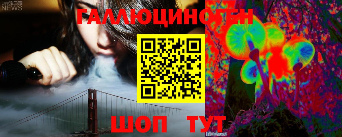 Галлюциногенные грибы Psilocybine cubensis Саянск